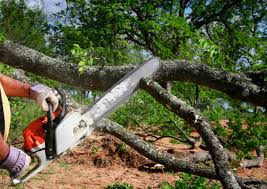 Best Lawn Irrigation Installation and Maintenance  in Trinity, NC